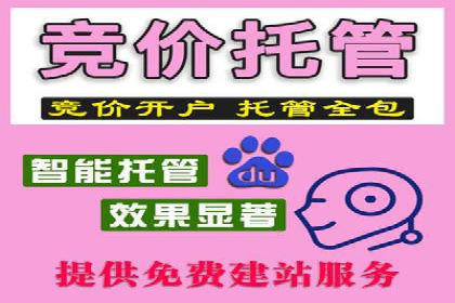 探索sem代运营推广公司的服务流程及效果评估
